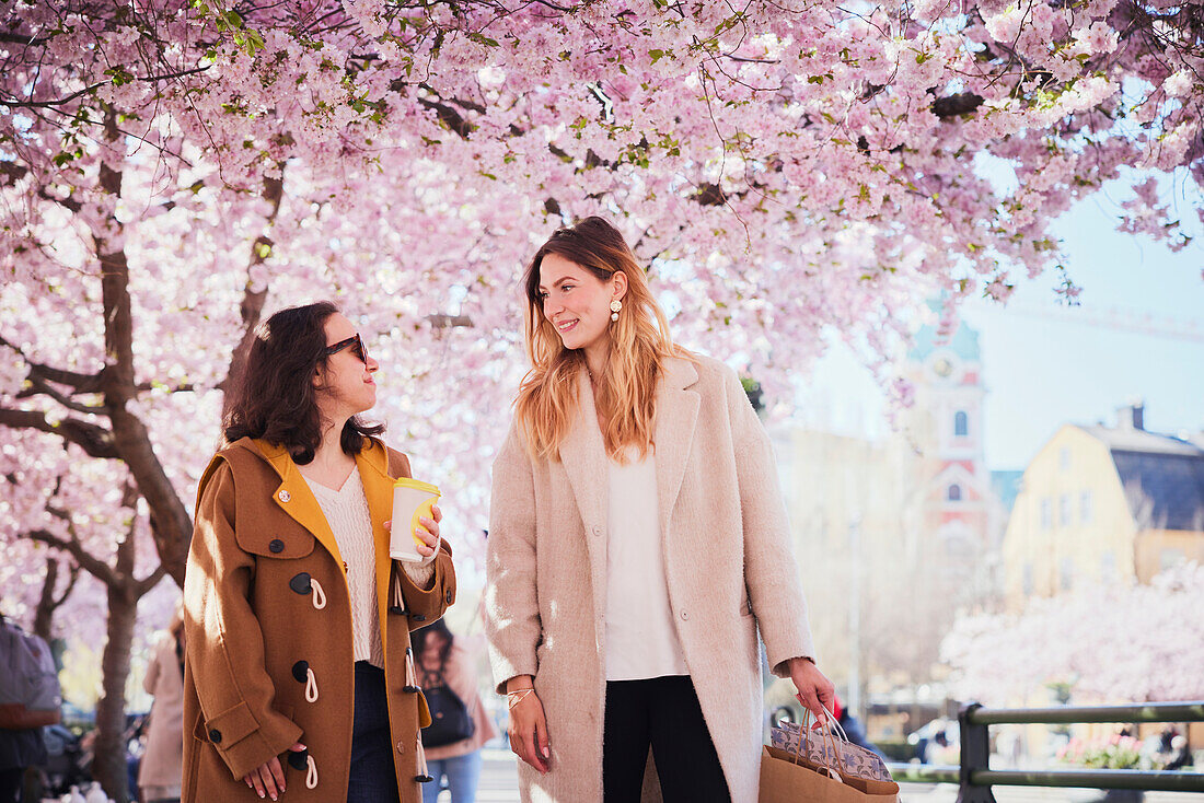 Smiling young women walking under cherry blossom