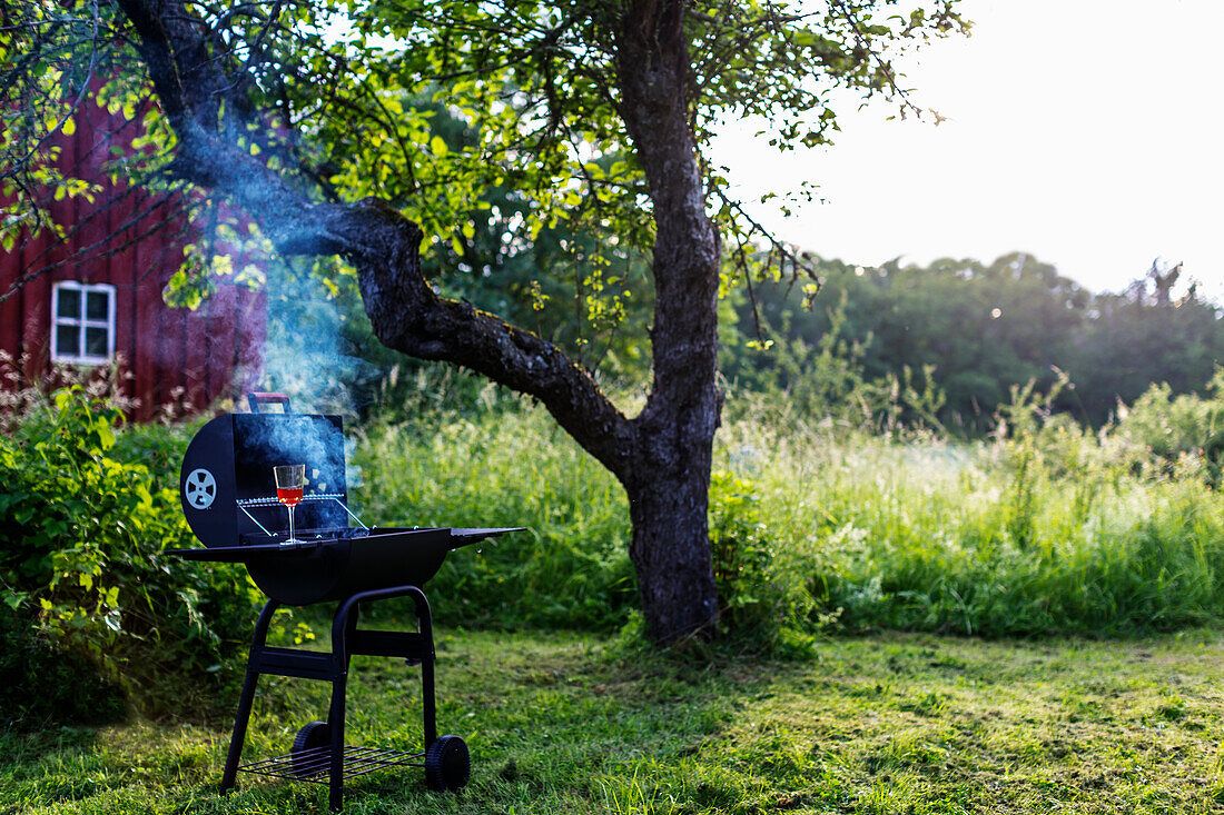 Smoking grill in garden