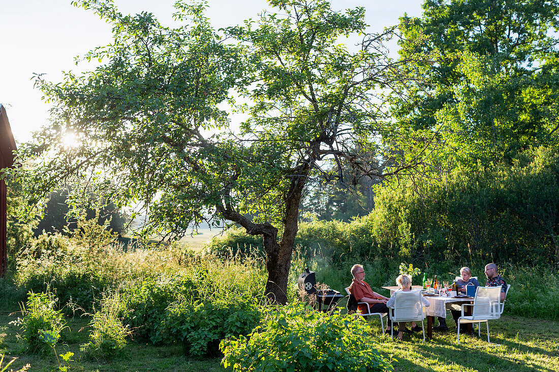 People having meal in garden