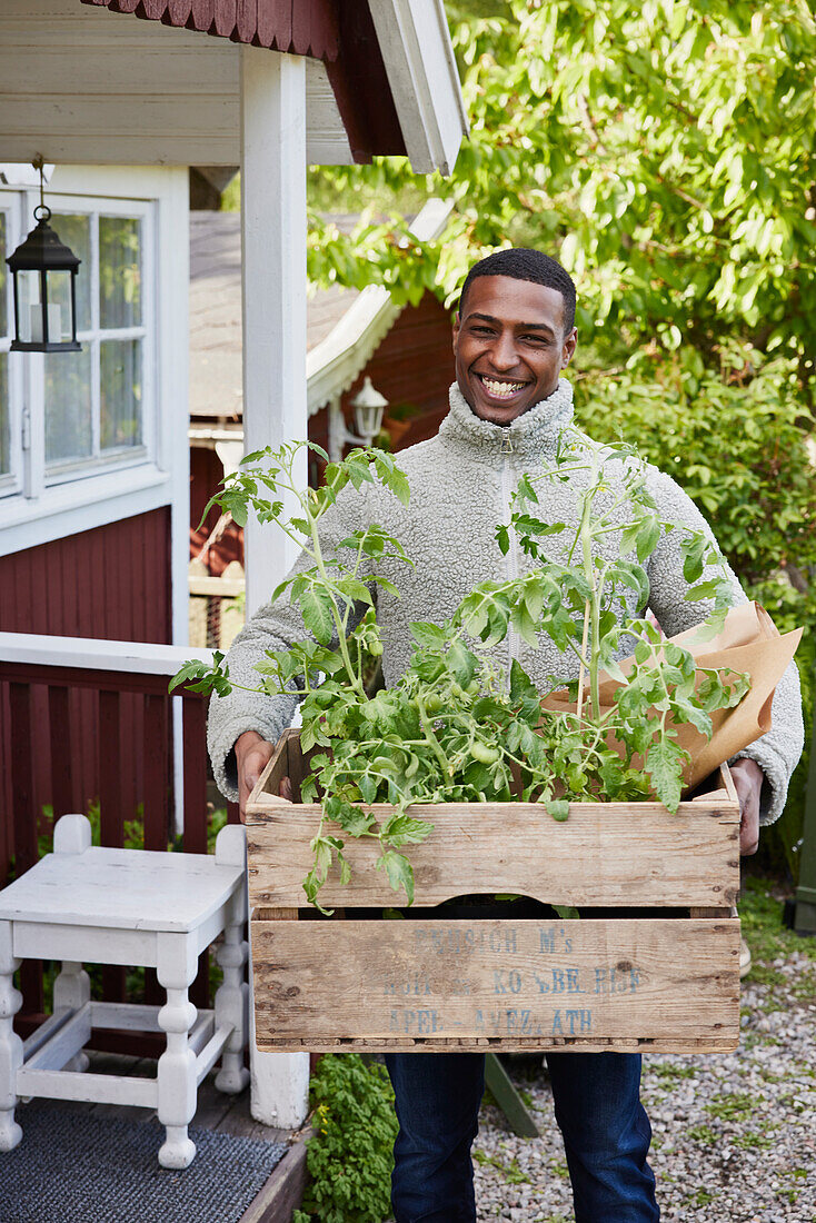 Smiling man holding crate with tomato plants