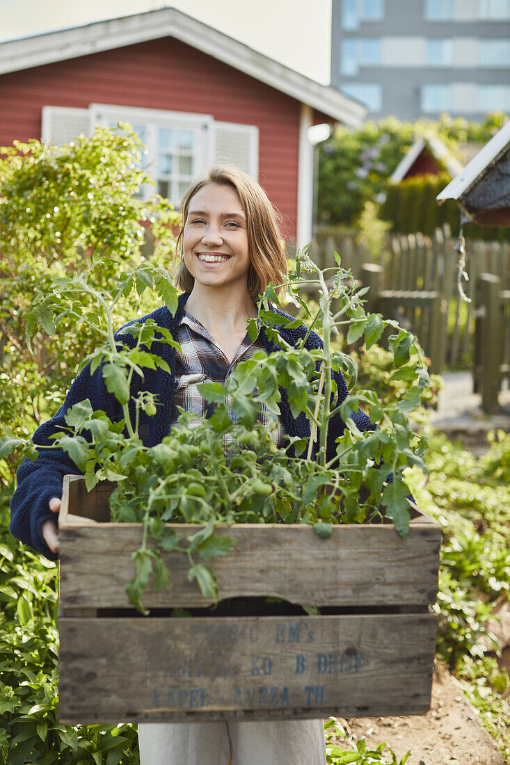 Woman holding crate with tomato plants