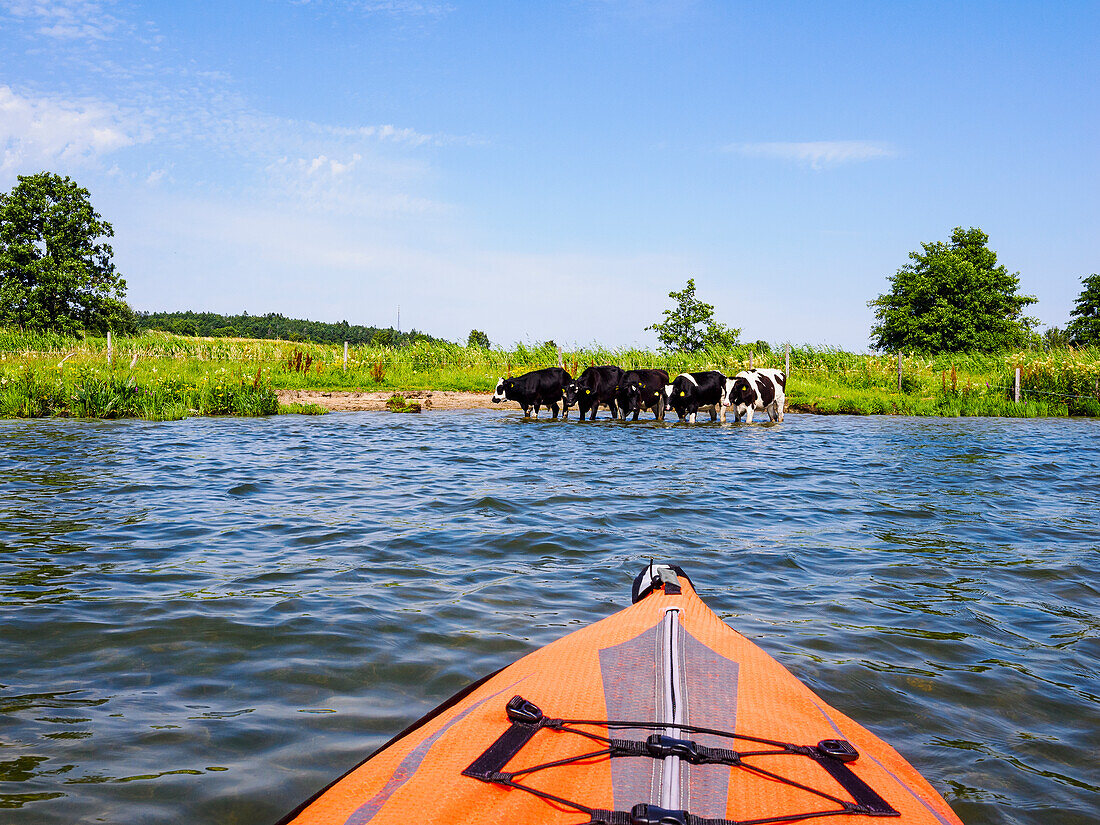 River view from kayak