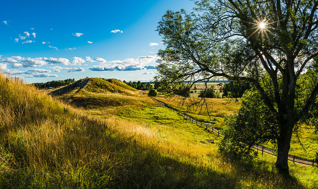 Hügellandschaft an einem sonnigen Tag