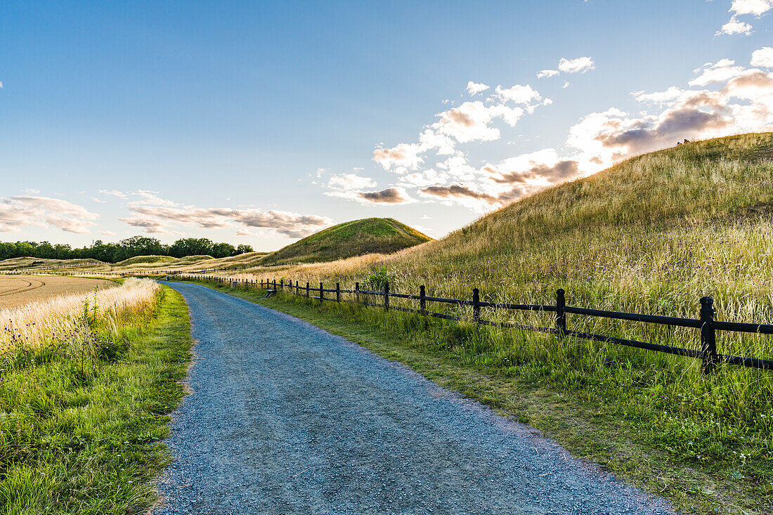 Hügellandschaft mit Feldweg