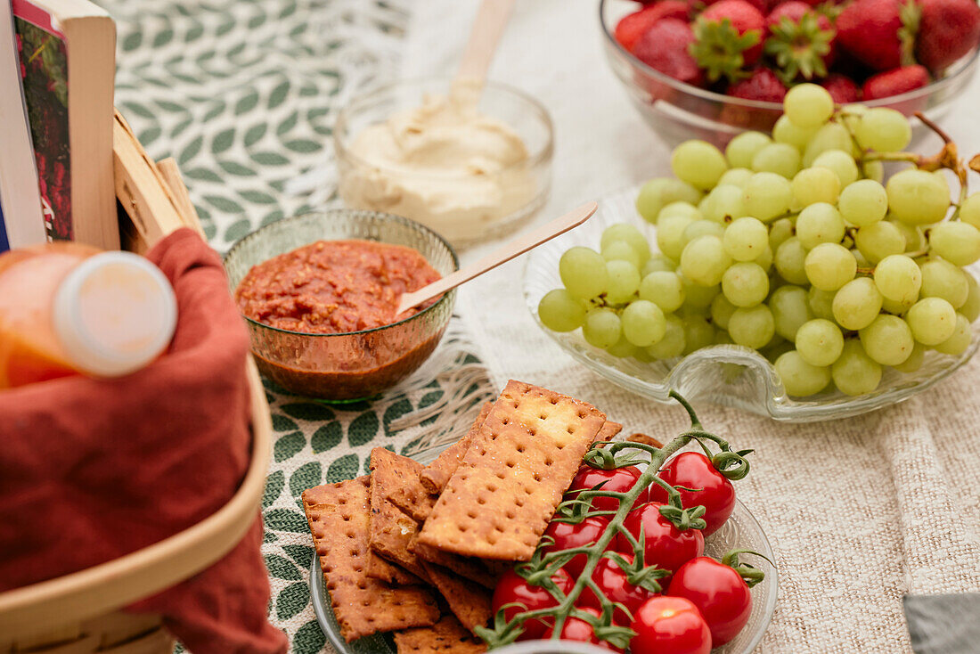 Fruit, vegetables, and crackers on picnic blanket