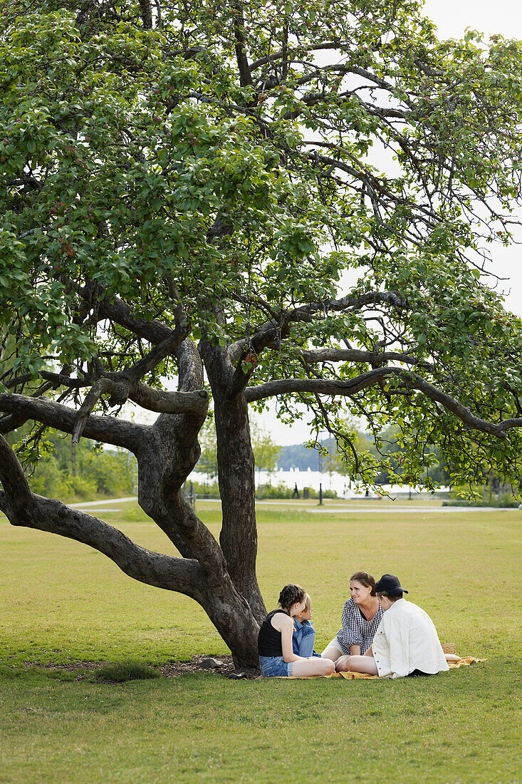 Mother having picnic with children