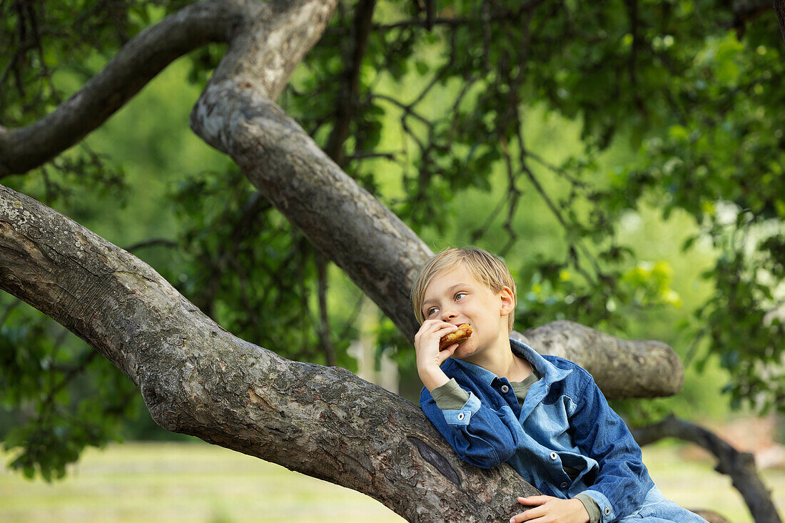 Junge beim Brunch isst Brötchen