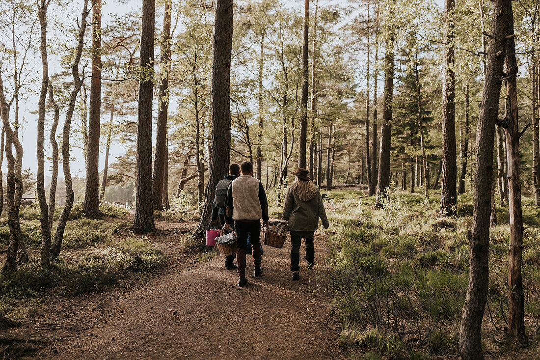 Rear view of people walking through forest