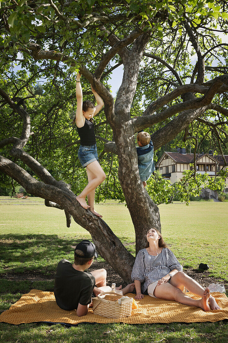 Mother with children having picnic