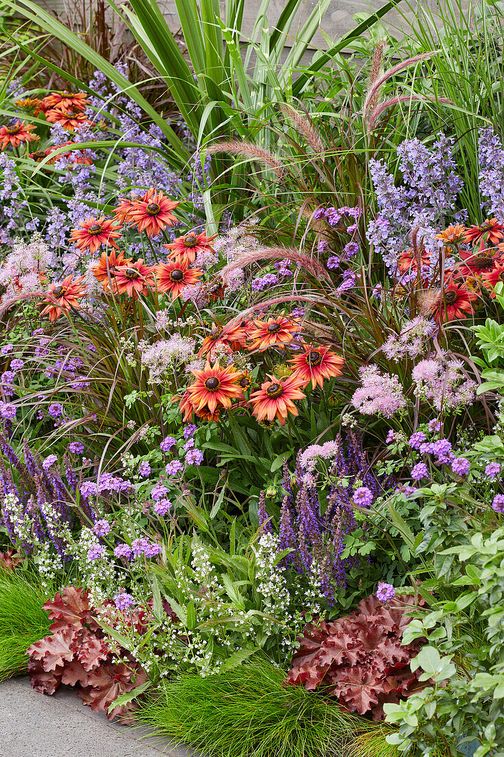 Perennial border XXL