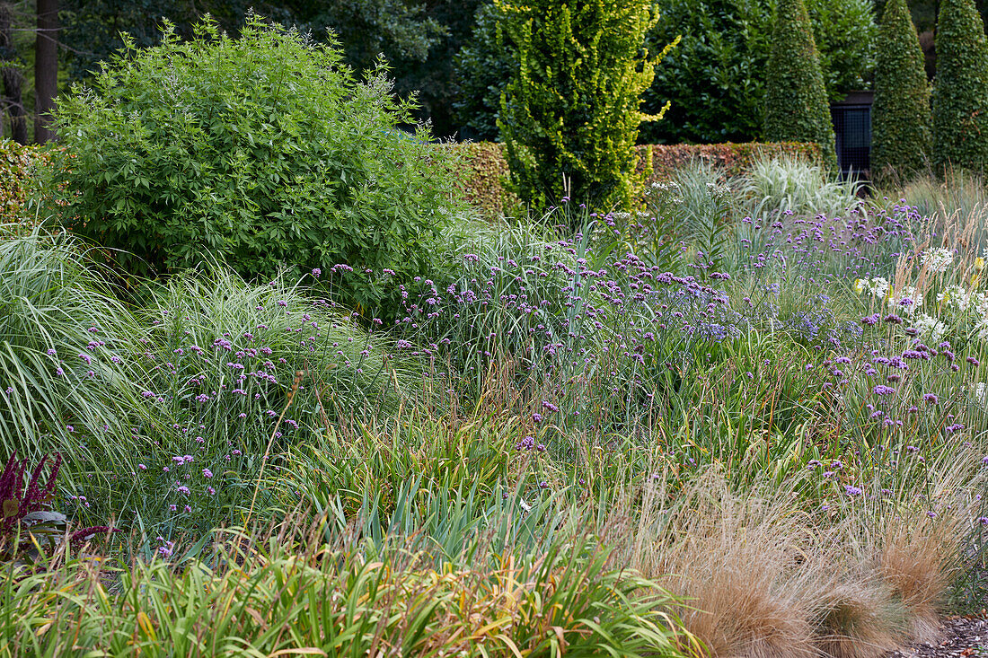 Gemischter Staudengarten