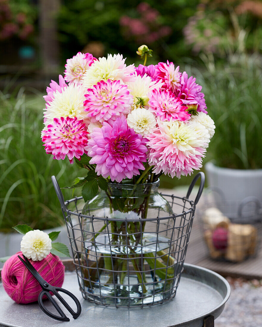 Romantischer Blumenstrauß mit Dahlien (Dahlia)