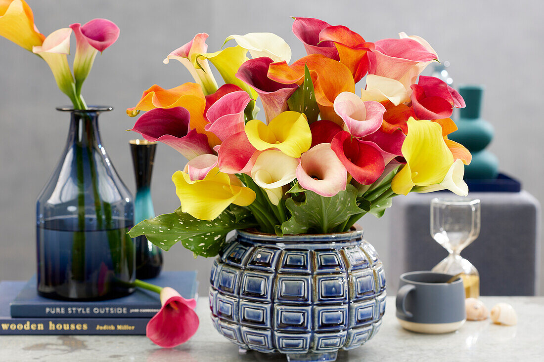 Zantedeschia mix