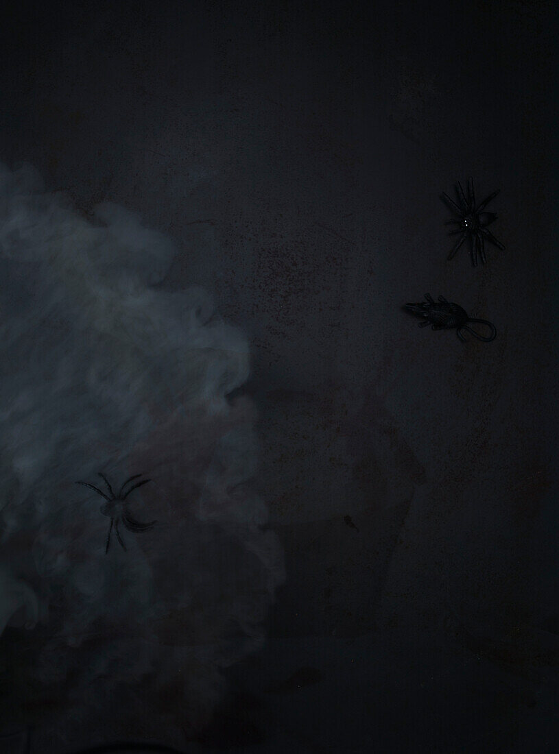 Schwarzer Hintergrund mit Spinne