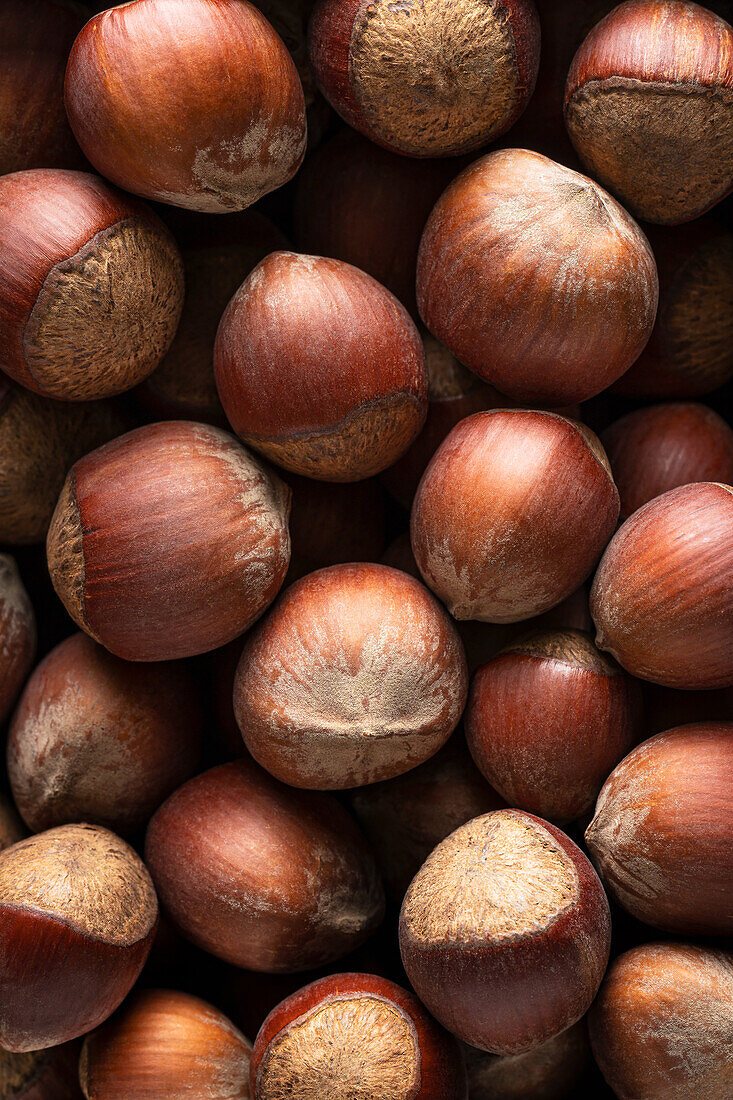 Hazelnuts (full picture, close-up)