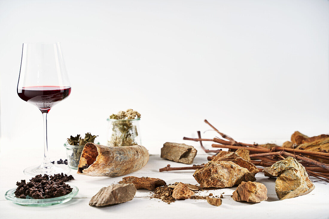 Symbolbild Weinaromen und biodynamischer Weinbau mit Kuhhorn