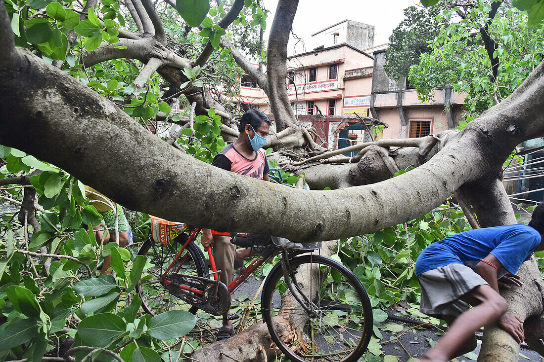 Aftermath of cyclone Amphan, Kolkata, India