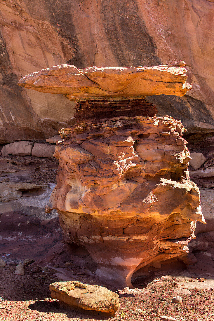 Cedar Mesa sandstone rock formation, Utah, USA
