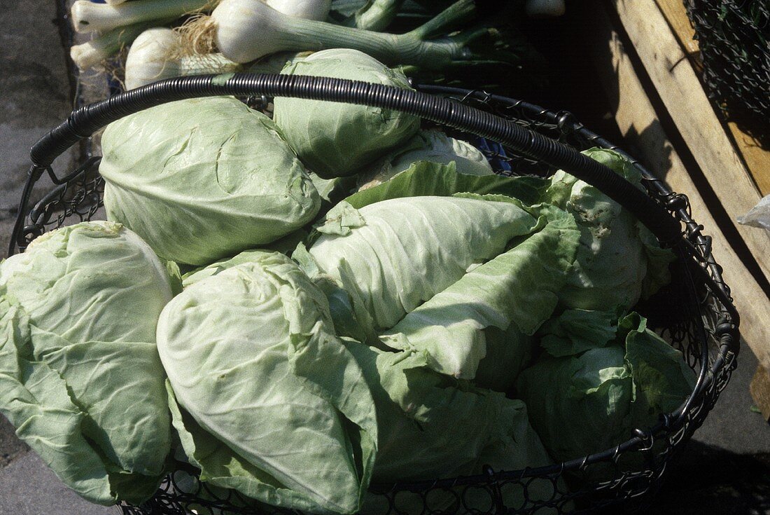 A wire basket with a pointed cabbage at the market