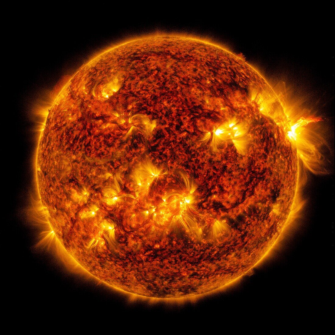 Solar flare, composite SDO image