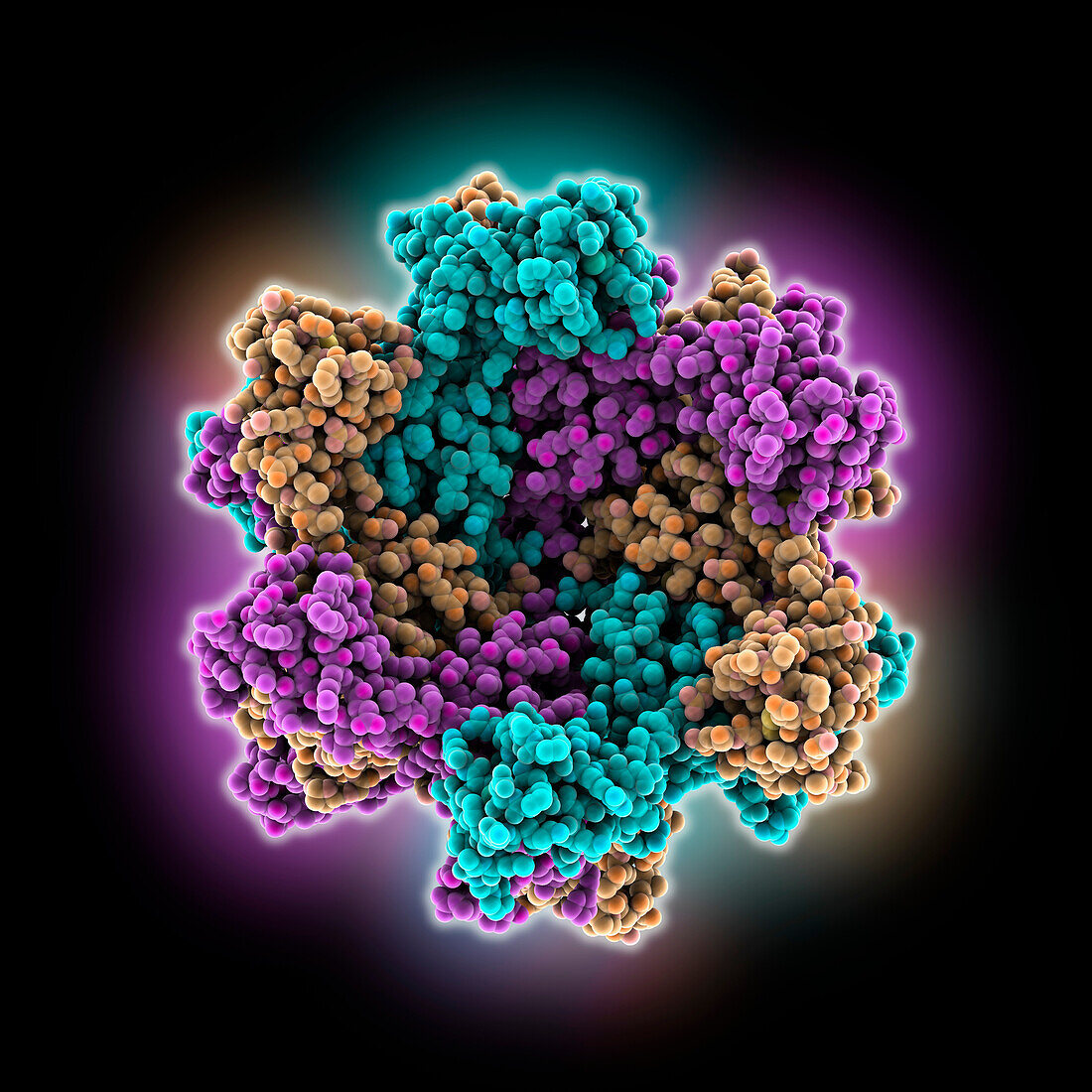 Hexameric HIV-1 group O CA, molecular model