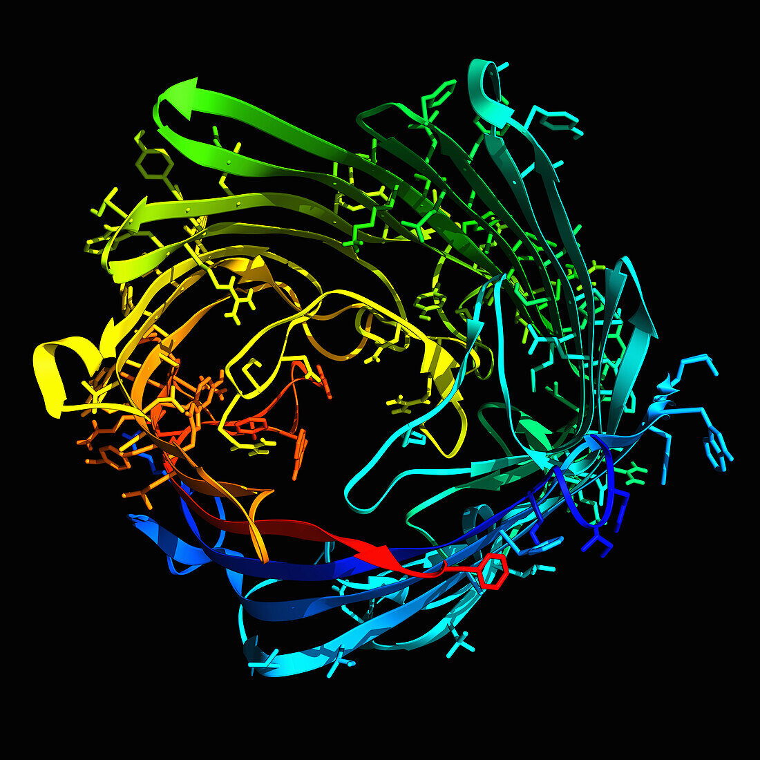 Chitoporin, molecular model