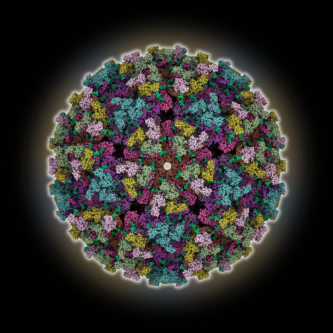 Getah virus capsid, molecular model