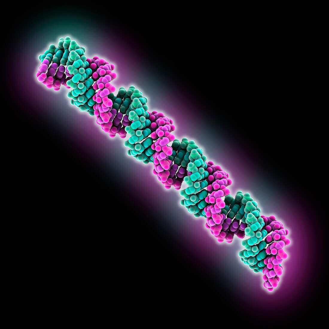 Synthetic RNA, molecular model