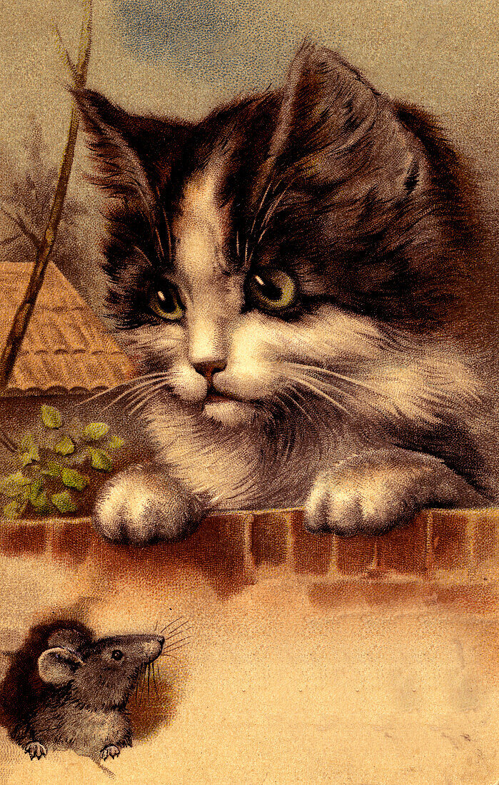 Cat and mouse, illustration,