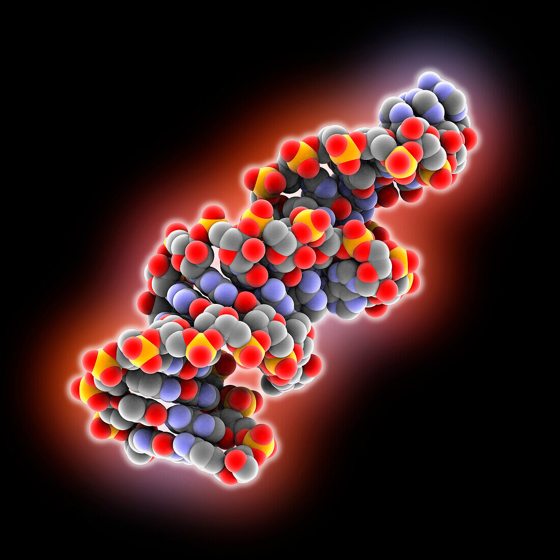 GNRA tetraloop receptor motif, molecular model