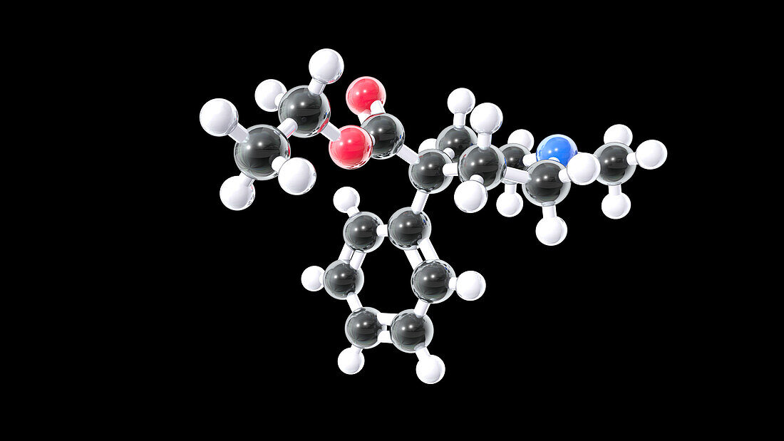 Pethidine, molecular model