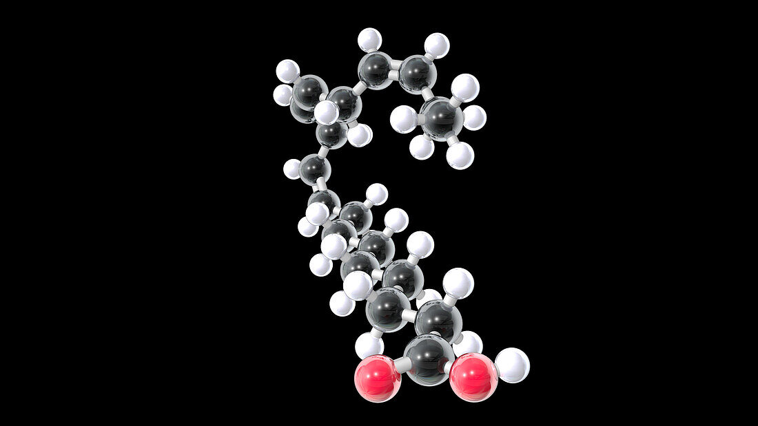 Alpha-linolenic acid, molecular model