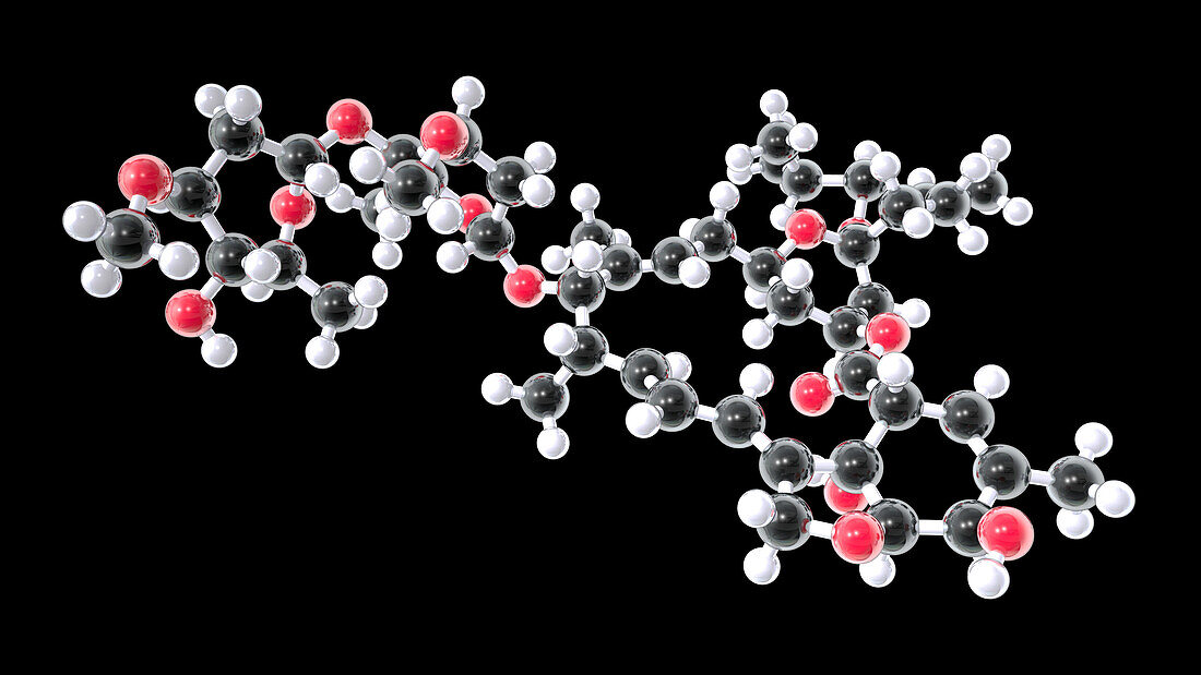 Ivermectin drug, molecular model