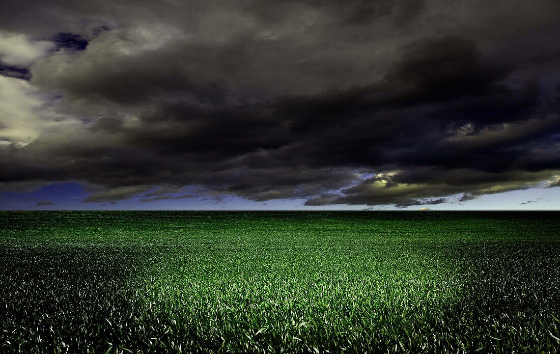 Thunderclouds over fields