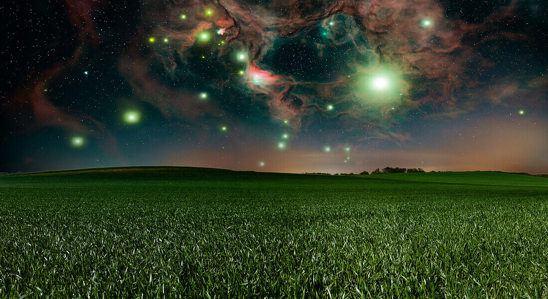Night sky over field