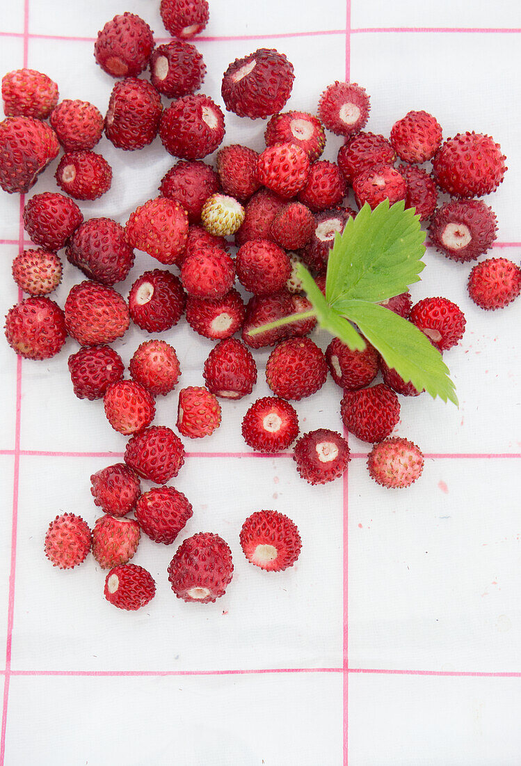 Wild strawberries on the kitchen table