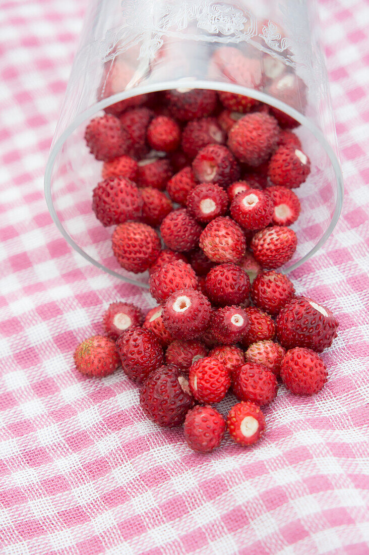 Walderdbeeren auf Küchentisch