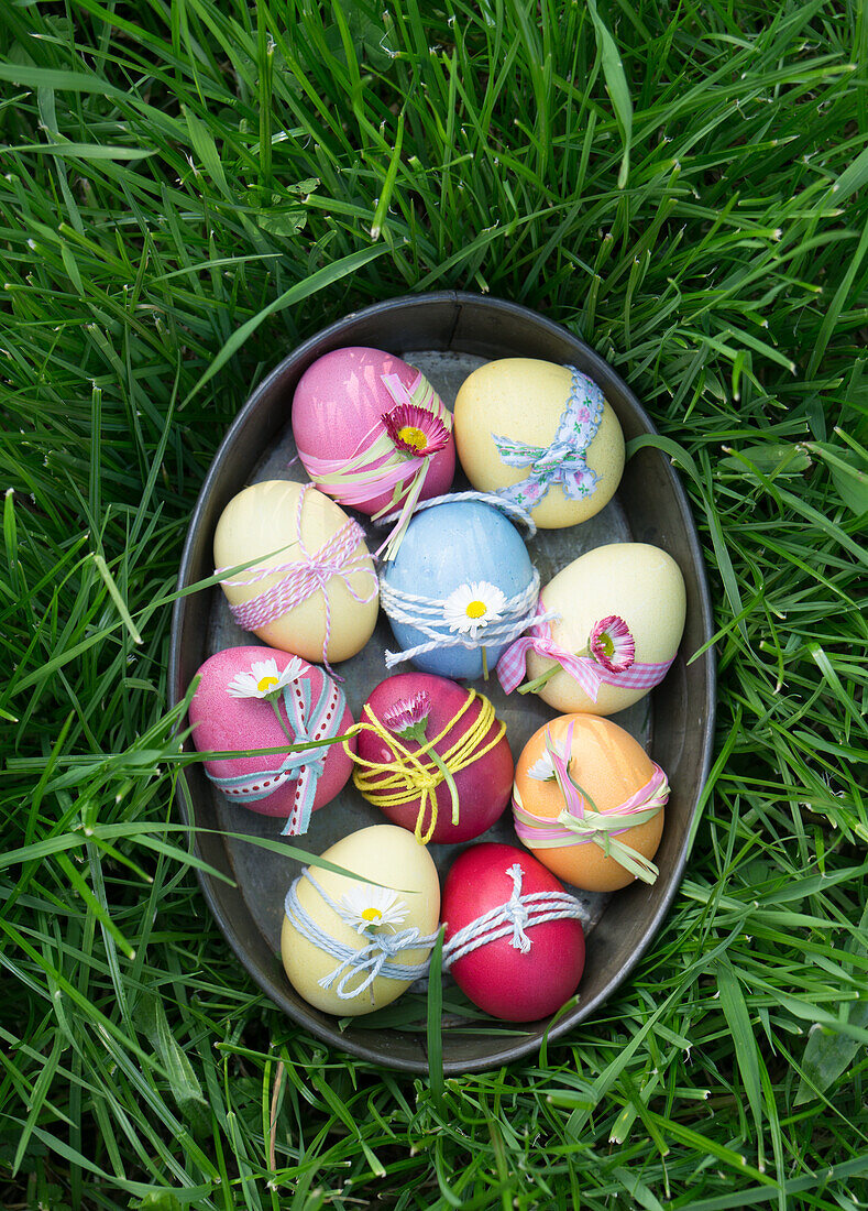 Colorful Easter eggs in a baking tin, on green grass, decorated with ribbons, daisies and bellis