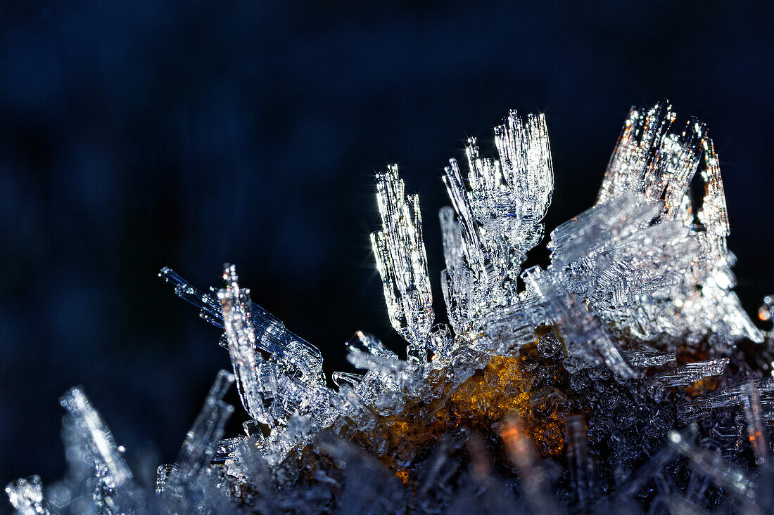 Frost crystals on a dead leaf