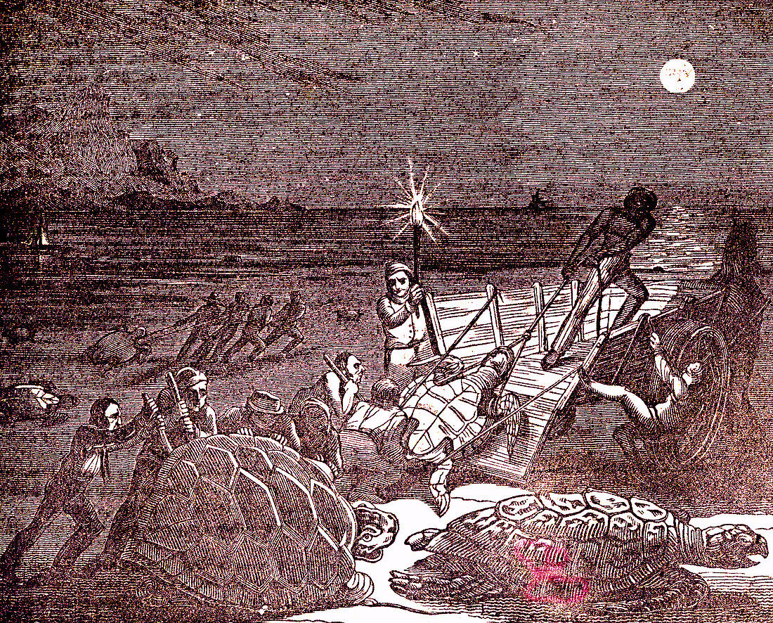 Turtle fishing, 19th century illustration