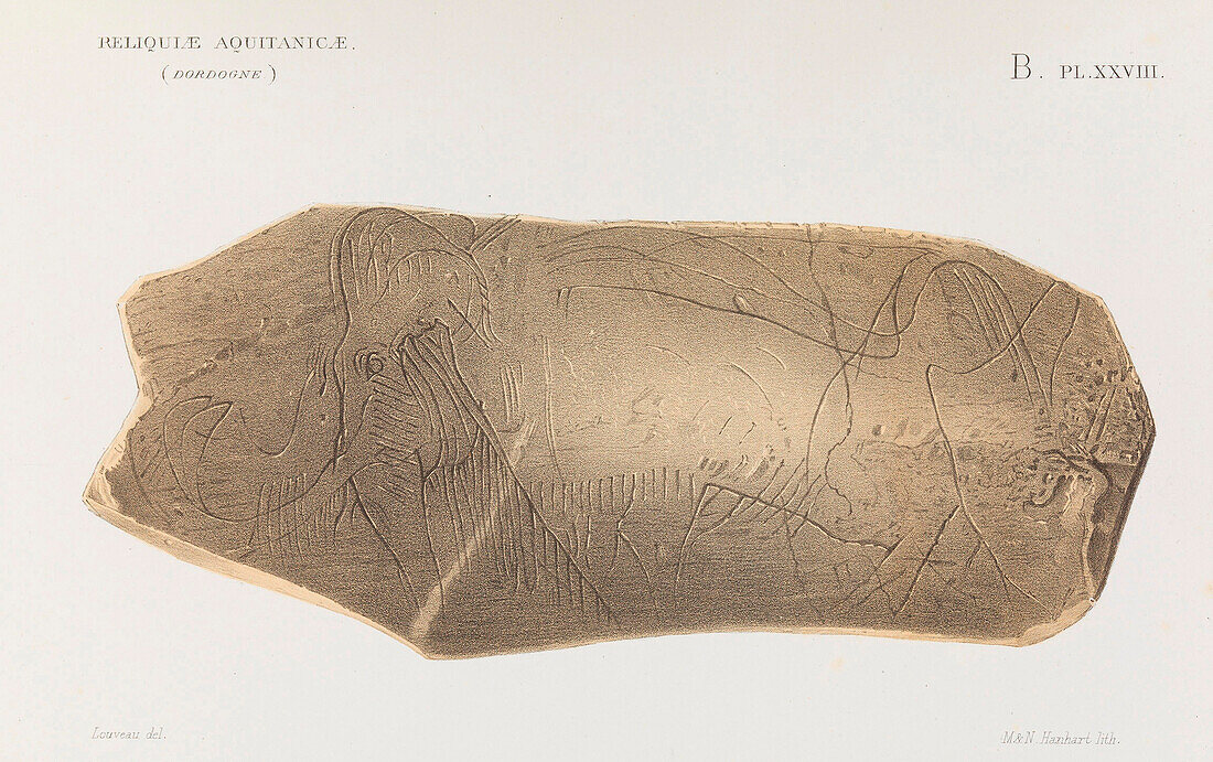 Carved mammoth tusk, 19th century illustration