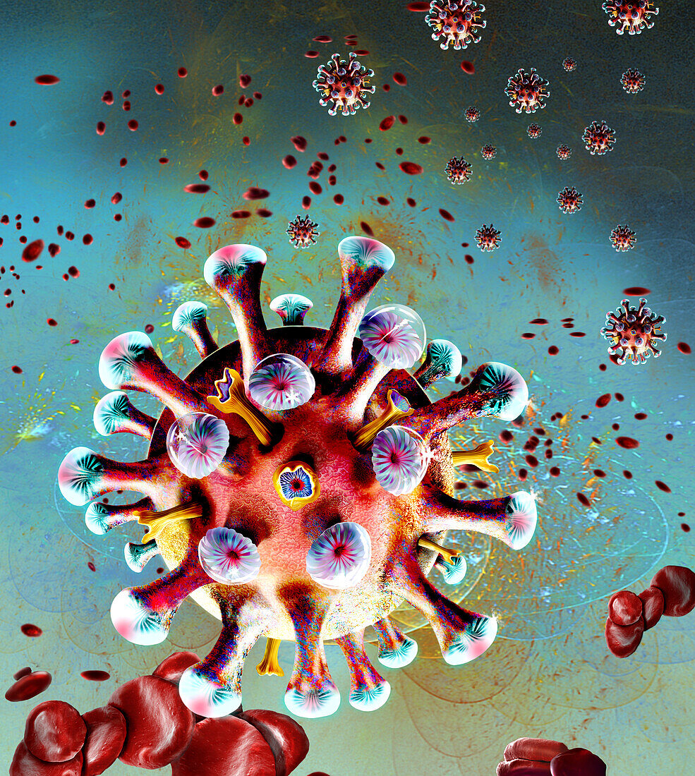 T cell, illustration