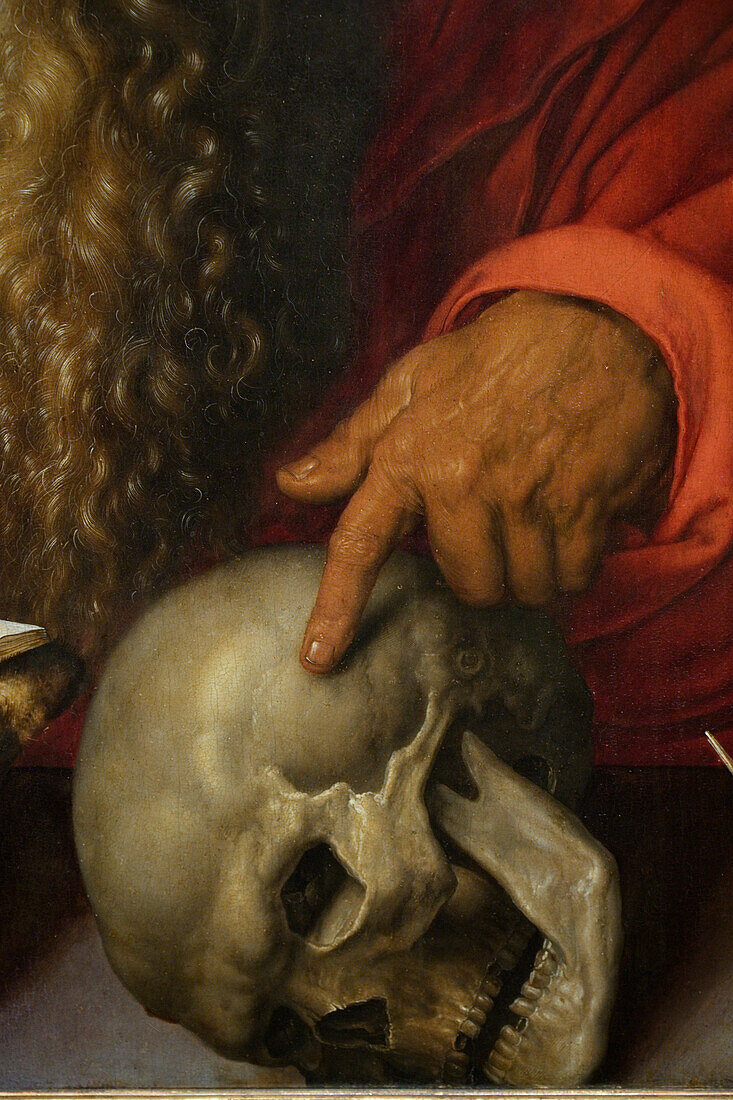 Detail from St Jerome by Albrecht Durer