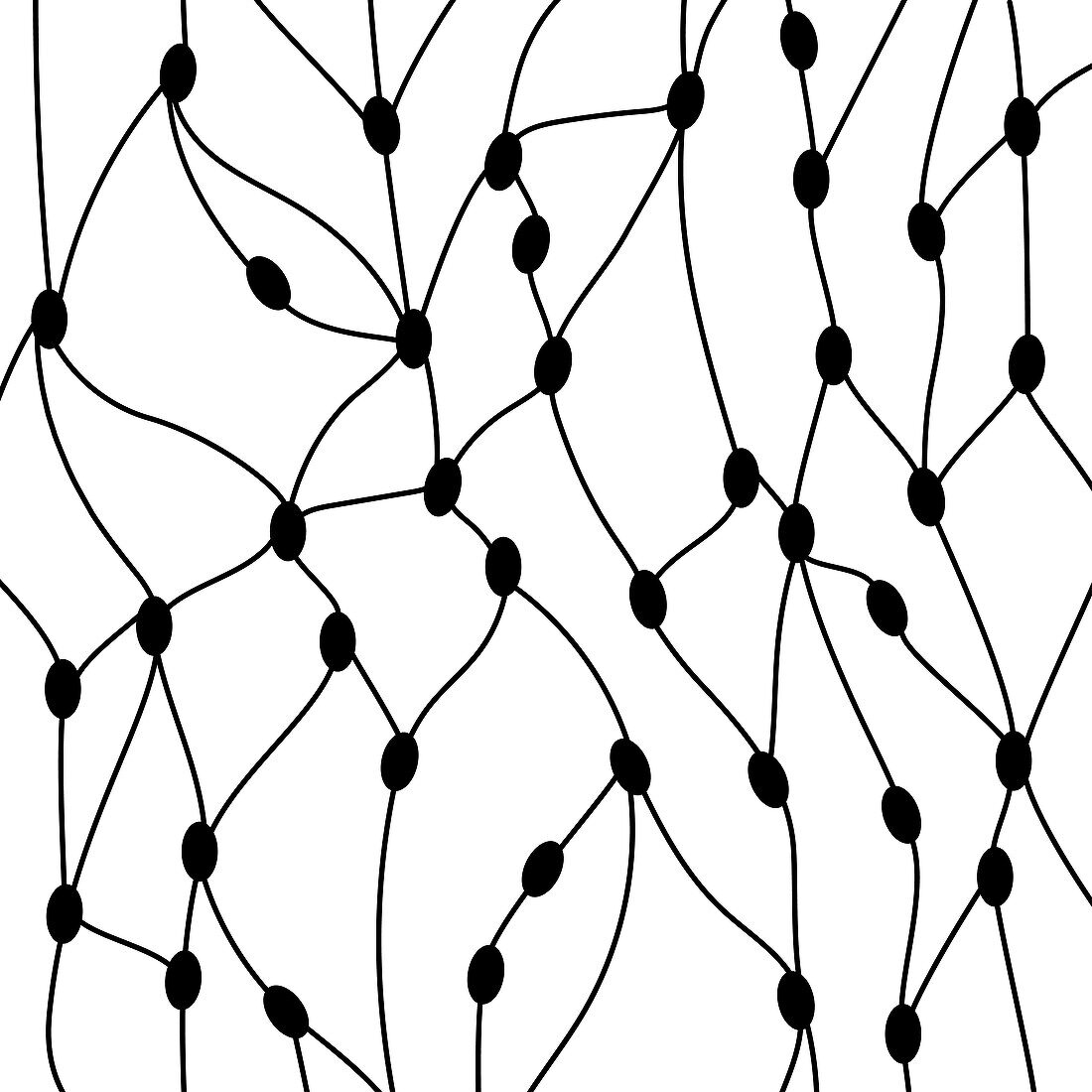 Lymph nodes, conceptual illustration