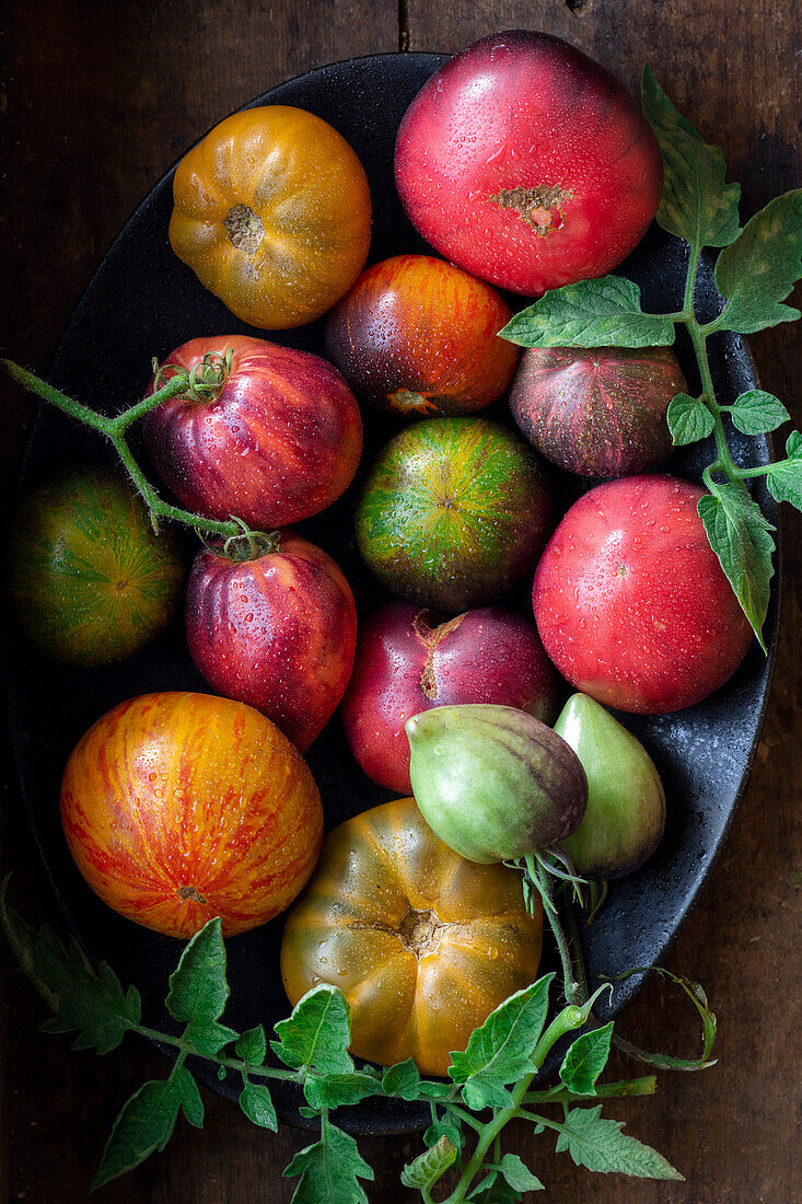 Tomaten aus eigenem Anbau