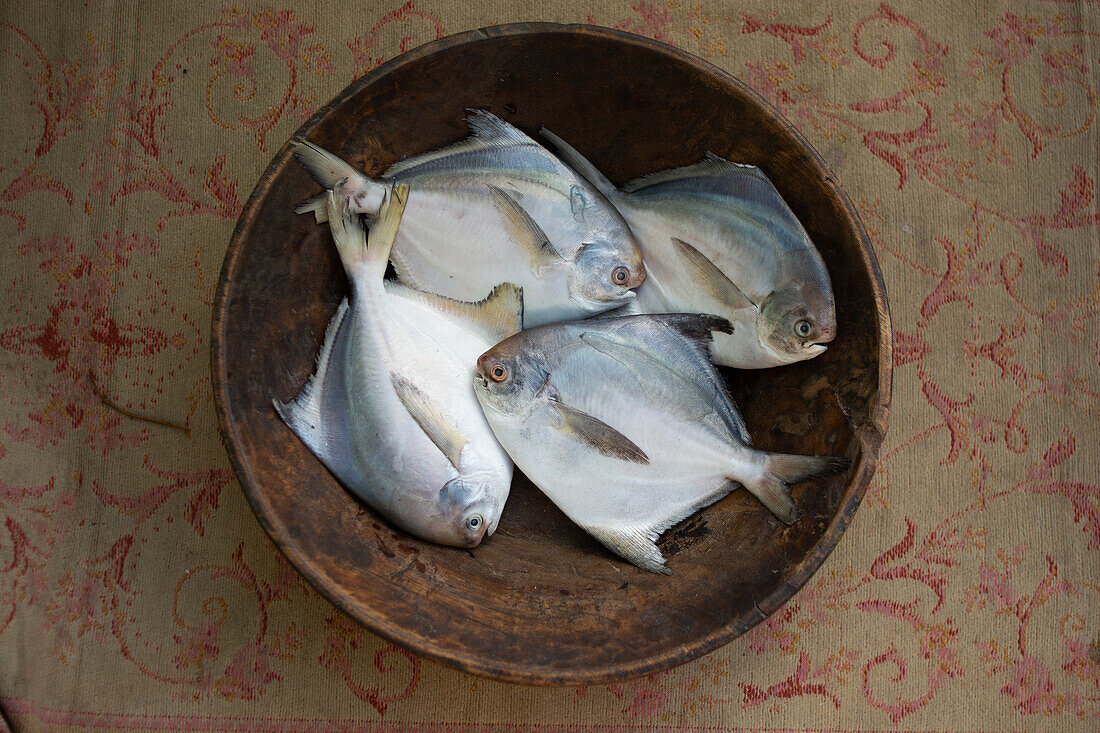 Four white sea bream in an antique wooden dish