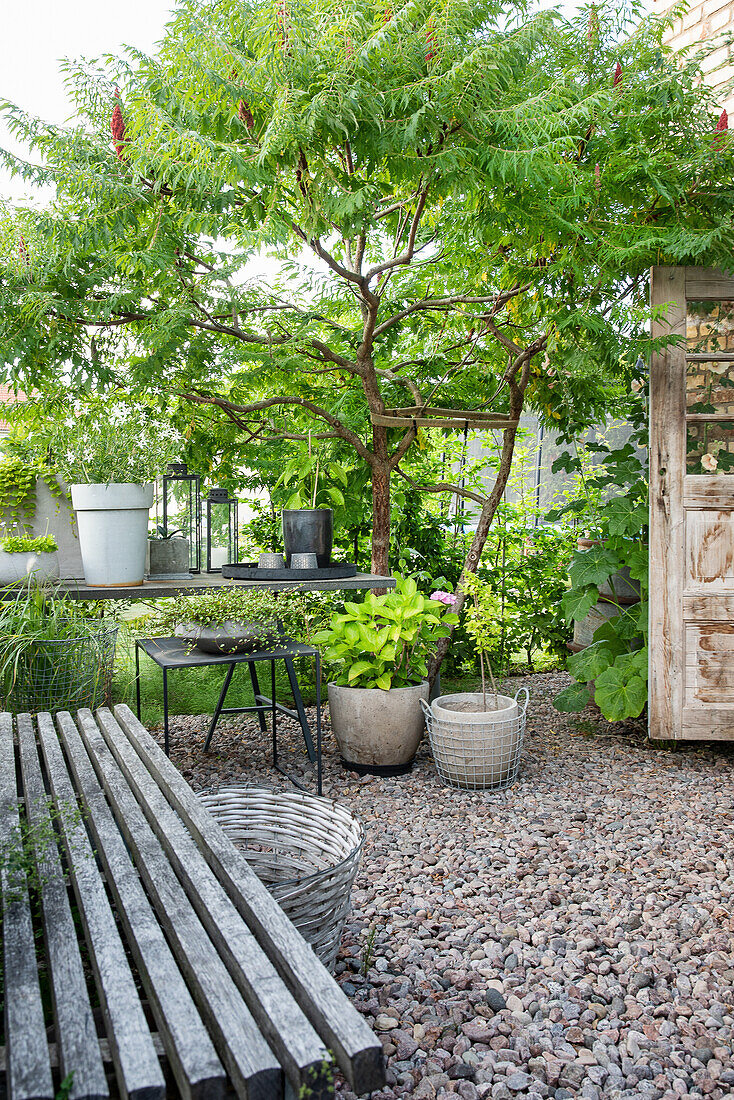 Gravelled area with garden bench and plant table