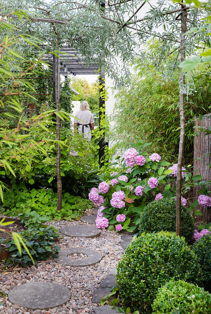 Gravel path with round concrete slabs surrounded by box trees and hydrangeas