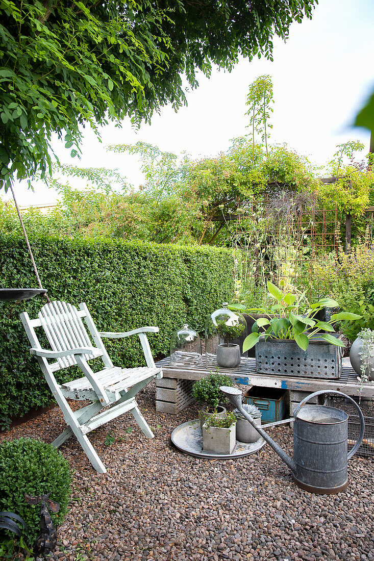 Table with plant pots on gravelled area