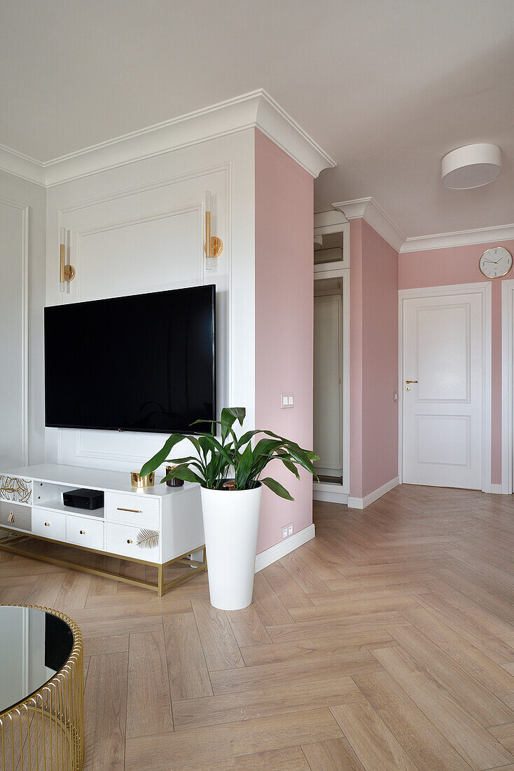 Lowboard with TV above and houseplant in open-plan living room